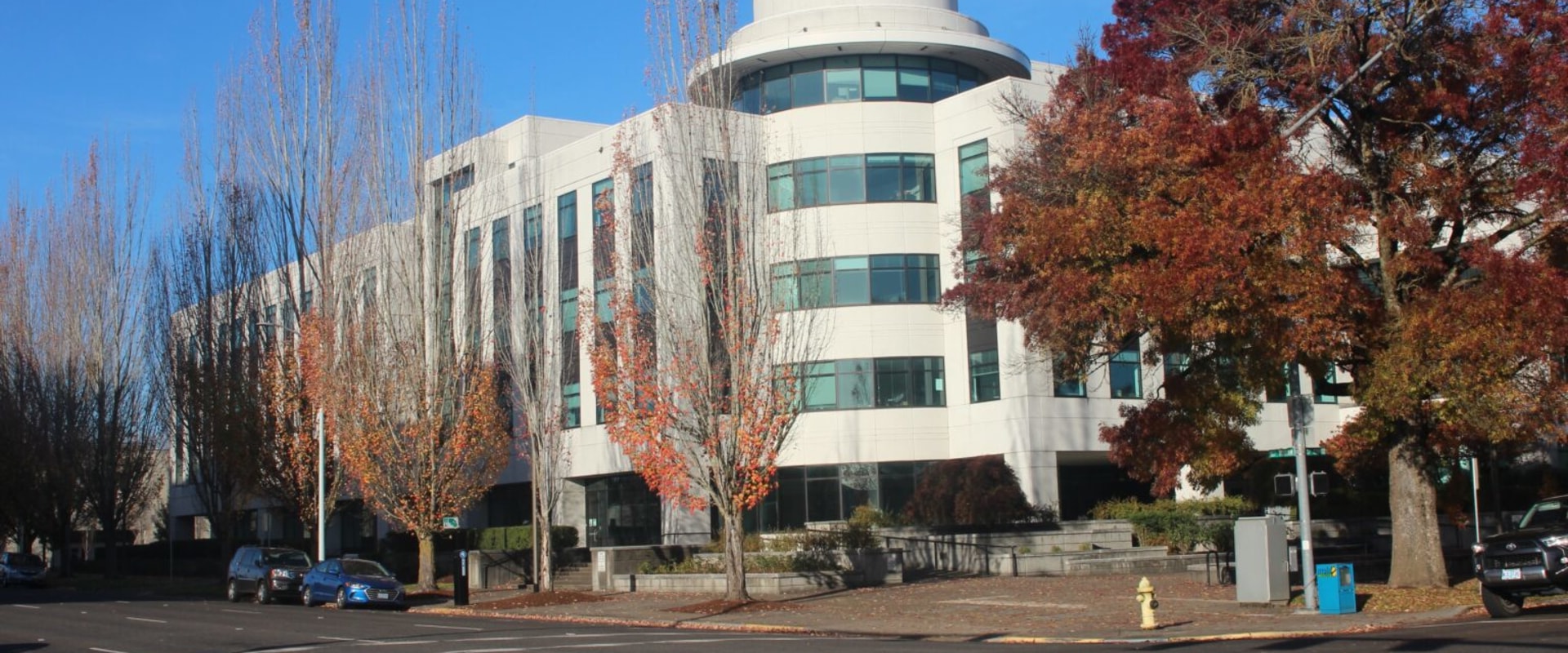 The Impact of Social Media on Political News Coverage in Multnomah County, Oregon: An Expert's Perspective